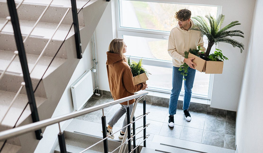 Jauns pāris kāpņu telpā nes telpaugus kastēs, pārvācoties uz jaunu īres dzīvokli gaišā un mūsdienīgā daudzdzīvokļu namā.